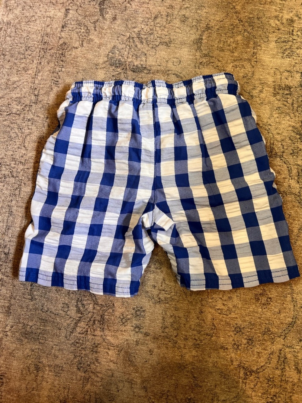 Cat & Jack, boy's size 5T gingham blue seersucker swim trunks with liner - Picture 2 of 10